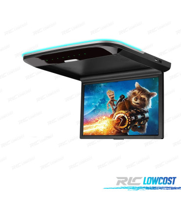 SCHERMO TETTO 14 POLLICI HD AV USB COLORE NERO