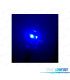 LAMPADINA LED BLU W5W T10