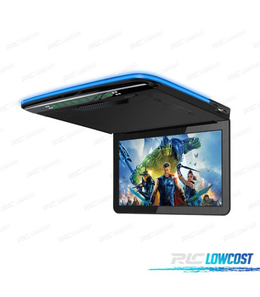 SCHERMO TETTO TETTO DA 13,3"