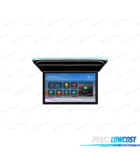 SCHERMO PER TETTO FULL HD DA 17,3"