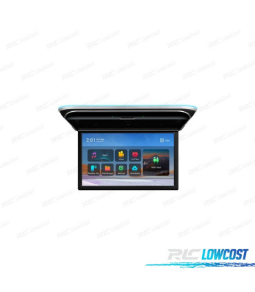 SCHERMO PER TETTO FULL HD DA 17,3"