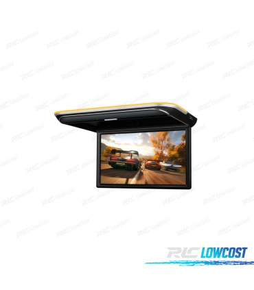 SCHERMO PER TETTO FULL HD DA 17,3"