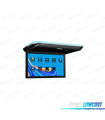 SCHERMO PER TETTO FULL HD DA 17,3"