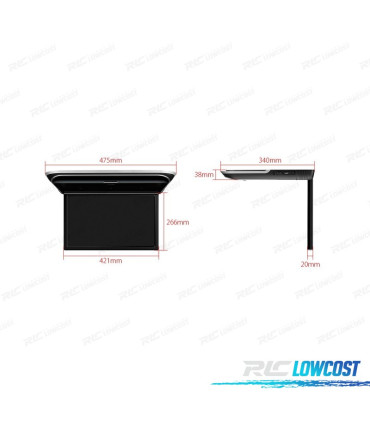 SCHERMO PER TETTO FULL HD DA 17,3"