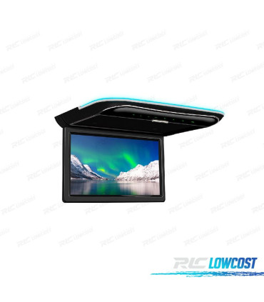 SCHERMO PER TETTO FULL HD DA 11,6"