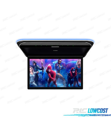 SCHERMO FULL HD PER TETTO DA 19,5"