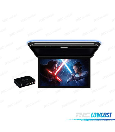 SCHERMO FULL HD PER TETTO DA 19,5"