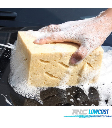 SPUGNA ULTRA ASSORBENTE