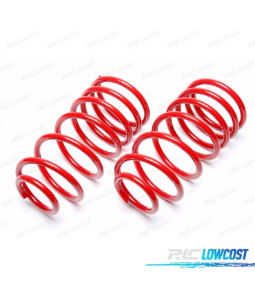 KIT MOLLE SPORTIVE PER PEUGEOT 106 GTI 95-05 40/--mm